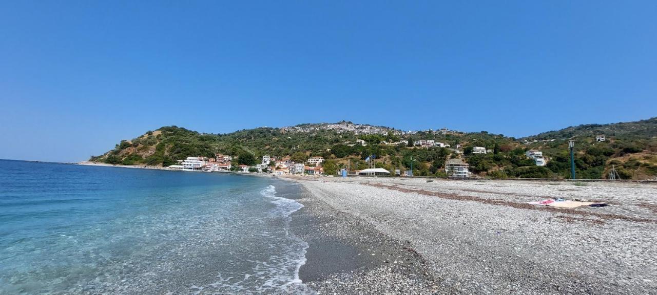 Mirsinia Apartments - Skopelos Loutraki  Eksteriør bilde